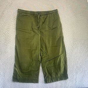 Wildfang Pant Womens XL Green Cropped Wide Leg Elastic Waist Capsule Lagenlook